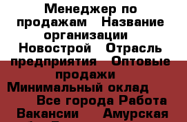 Менеджер по продажам › Название организации ­ Новострой › Отрасль предприятия ­ Оптовые продажи › Минимальный оклад ­ 40 000 - Все города Работа » Вакансии   . Амурская обл.,Благовещенск г.